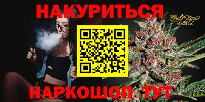 сатива Гусев