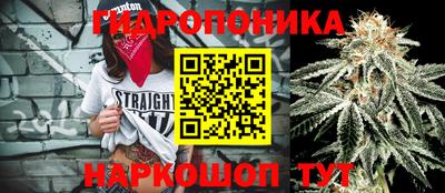 a pvp Гусь-Хрустальный
